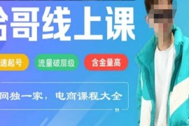 最新项目电商线上课程2025年，快速起号，流量破层级，这套方法起号率99%02-26冒泡网