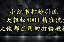 小红书打粉引流，一天轻松500+精准流量，大佬都在用的打粉教程