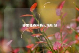 哪里能查网贷记录明细