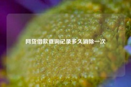 网贷借款查询记录多久消除一次